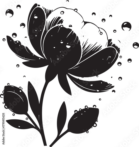 Water droplets on petals silhouette vector 