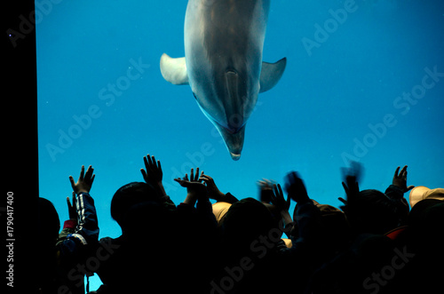 水族館の風景