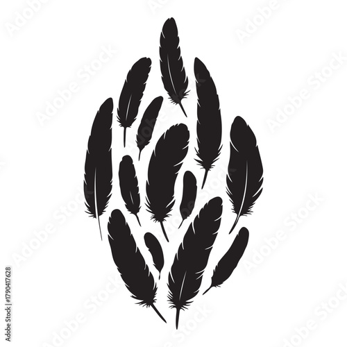Detailed majestic feather collection, Clean minimal vector silhouette