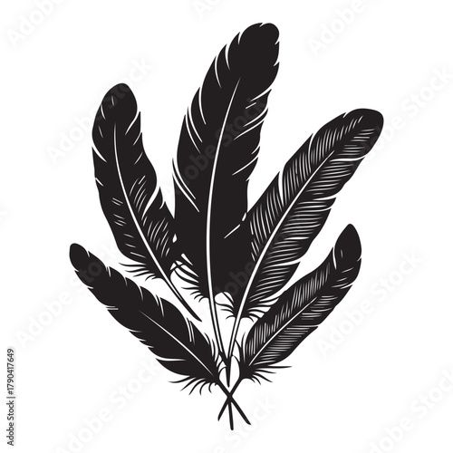 Detailed majestic feather collection, Clean minimal vector silhouette
