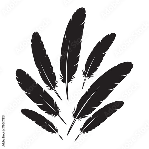 Detailed majestic feather collection, Clean minimal vector silhouette