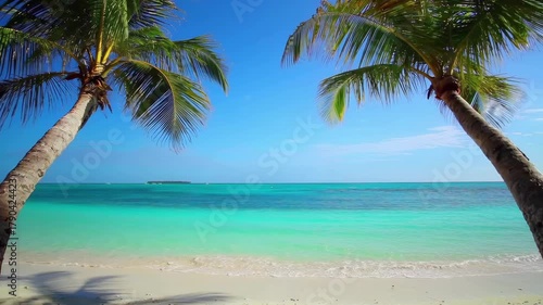 Tropical Paradise Beach Scene with Palm Trees and Crystal-Clear Water