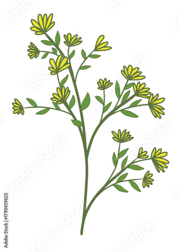 Delicate yellow wildflowers bloom on slender green stems, bringing a touch of natural charm to any design project.
