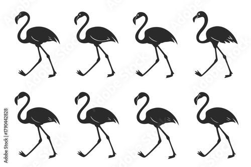 Minimal realistic flamingo walking icon set