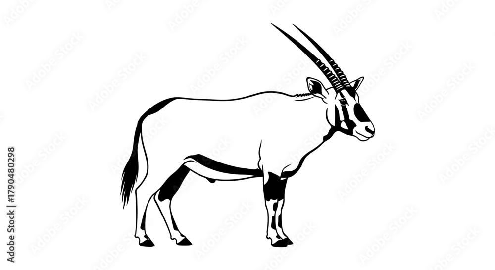 Fototapeta premium A black and white illustration of an oryx standing on a white background