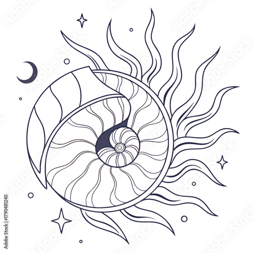 Stylized nautilus shell surrounded by sun rays, stars, and a crescent moon illustration artwork