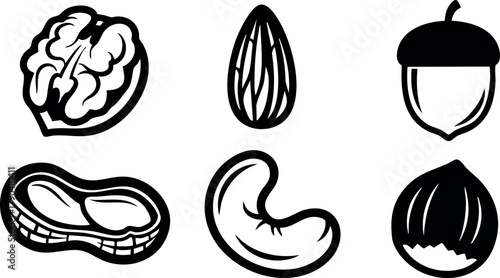 Various nut icons including walnut almond acorn peanut cashew and hazelnut vector set for design and illustration purposes