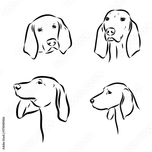 Porcelaine dog isolated on white background