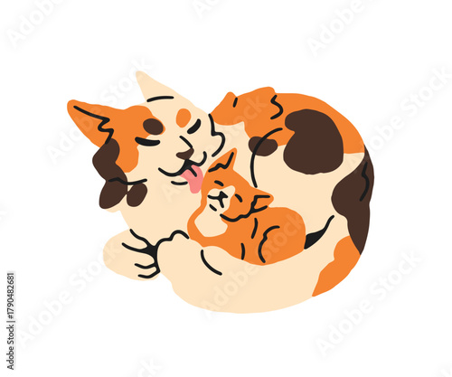 Family of cats is lying together. Mother washes, licks her kitten. Mom cares about baby kitty. Cute pets: mama and kid. Funny domestic animals. Flat isolated vector illustration on white background.