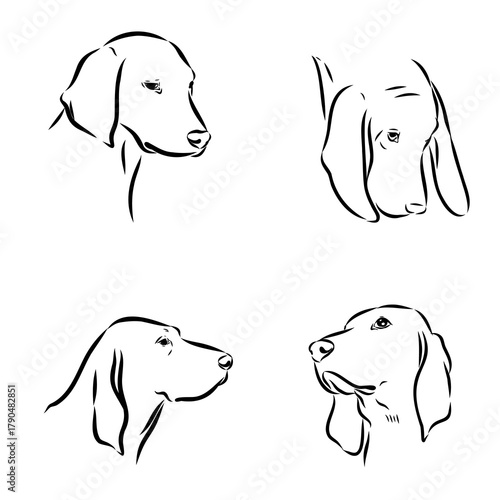 Porcelaine dog isolated on white background