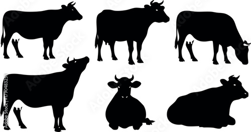Silhouettes of cows in various poses black vector shapes farm animals isolated on white background