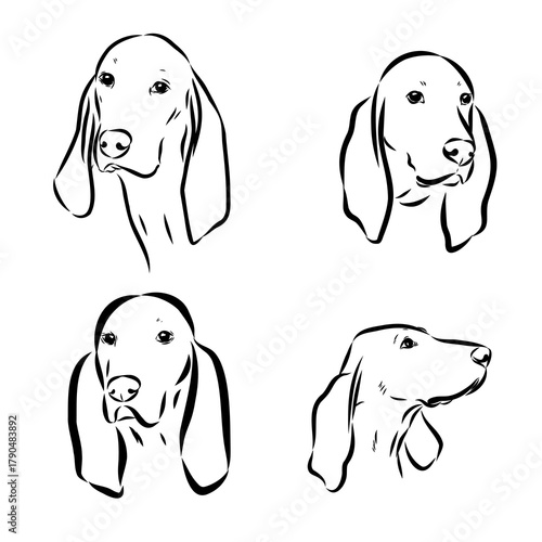 Porcelaine dog isolated on white background