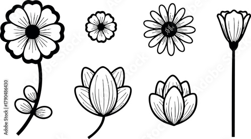 Black and white vector set of simple floral designs with various blooming flowers and buds in line art style