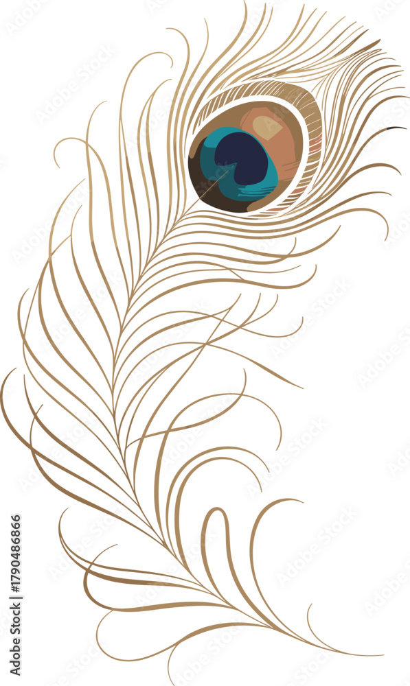 Obraz premium Elegant Gold and Teal Peacock Feather Vector Illustration, Luxury Ornamental Design