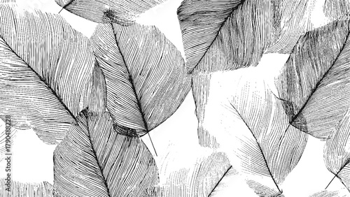 Exotic floral sketch vector with summer leaves and jungle plants drawn in black and white hand drawn grunge texture style