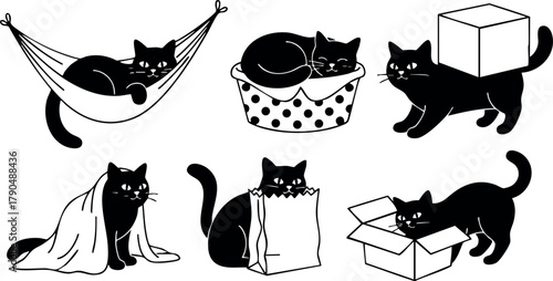 Black cat playful poses with hammock basket box blanket and paper bag vector illustration