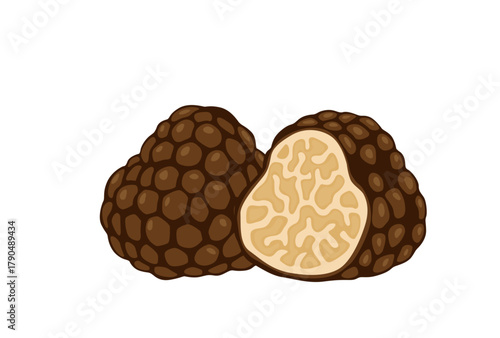 Black truffles isolated on a white background.