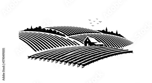 Rolling Hills Vineyard Landscape with Barn and Trees.