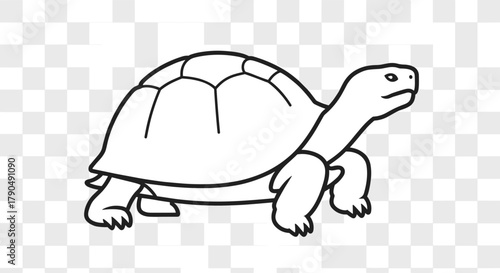 Simple Outline Drawing of a Tortoise on a Transparent Background.
