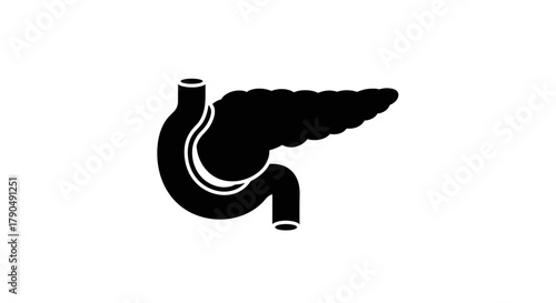 Pancreas and Duodenum Anatomy Illustration.