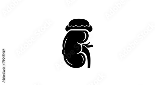 Stylized Kidney Icon with Hat Medical Concept.