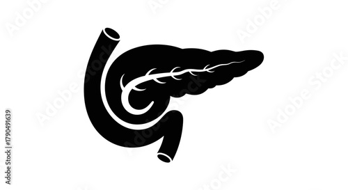 Human Pancreas and Duodenum Organ Silhouette.