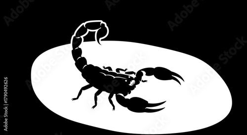 Silhouette of a Scorpion on White Background.