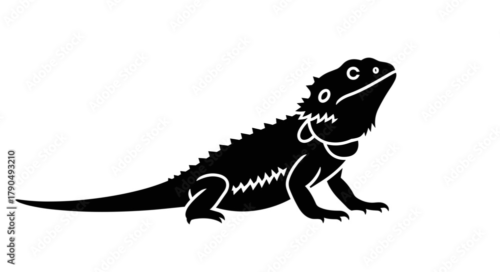 Fototapeta premium Black Silhouette of a Bearded Dragon Lizard on a White Background.