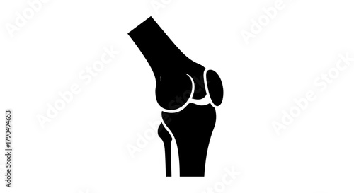 Knee Joint Silhouette Medical Illustration.
