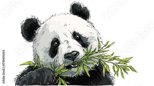Cute Cartoon Panda Bear Eating Bamboo - Wildlife Illustration