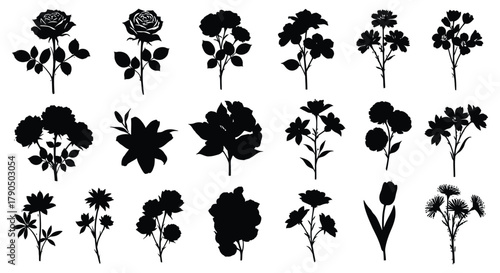 Silhouette illustration of various flowers on a white background art