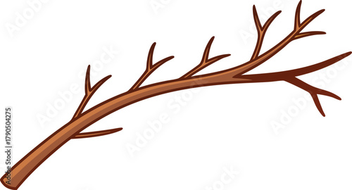 A single bare tree branch with multiple smaller twigs against a white background