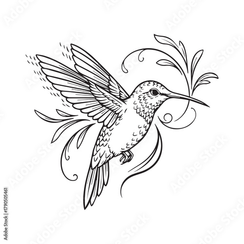 Elegant Black and White Hummingbird Line Art Vector