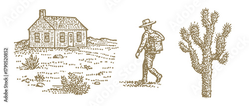 Desert house and cactus. Vintage woodcut linocut engraving style vector illustration.