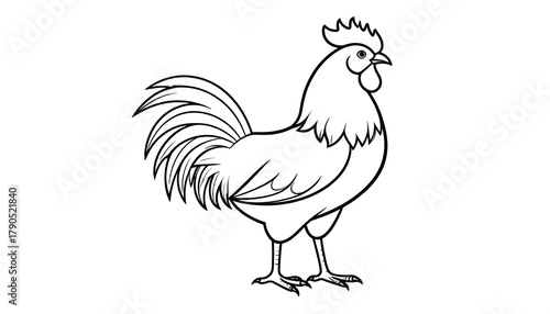 Line Art Rooster Standing Profile View.