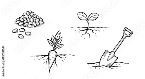 Garden planting process illustrations with seeds, sprouts, and tools  Regenerative Agriculture icon set