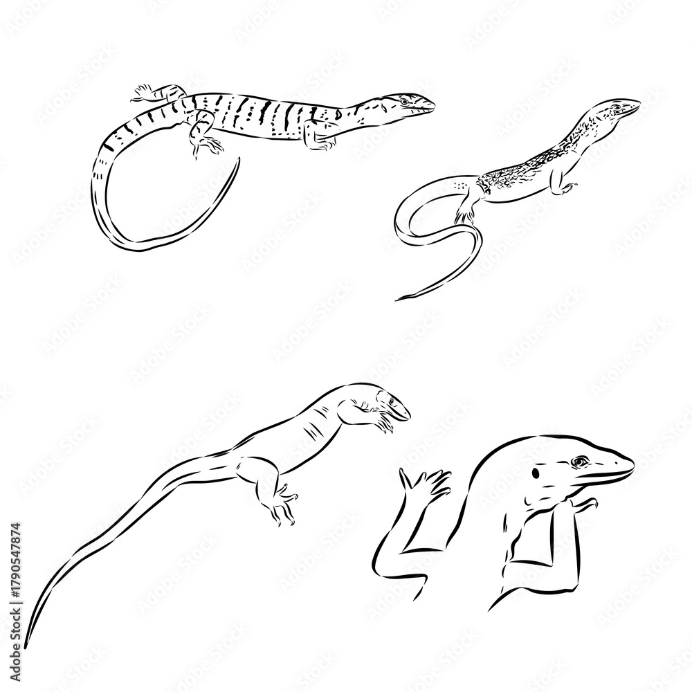 Obraz premium tree lizard, vector sketch