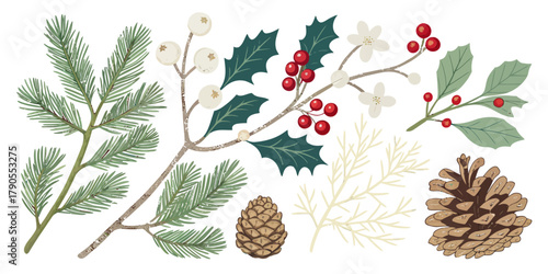 Vector illustration of christmas  assortment of festive winter foliage with pinecones and berries