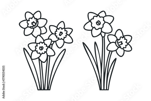 Outline of two groups of daffodils with leaves and stems