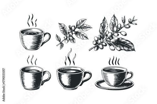 Hot coffee cups and fresh coffee bean branches in sketch style