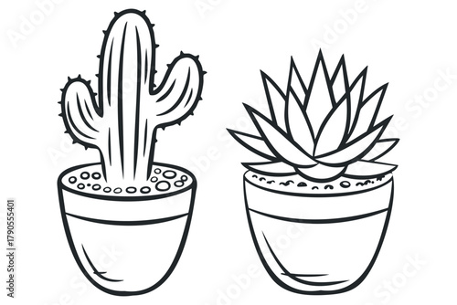 Two potted succulent plants in outline style