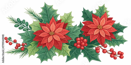 Vector illustration of christmas  watercolor christmas arrangement with poinsettias and holly leaves