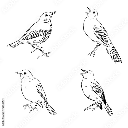 Wallpaper Mural English toy terrier, vector sketch Torontodigital.ca