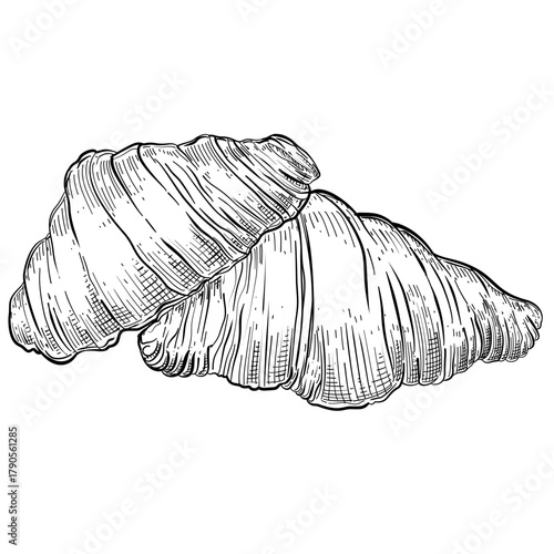 Vintage croissant pastry vector line art hand drawn illustration 