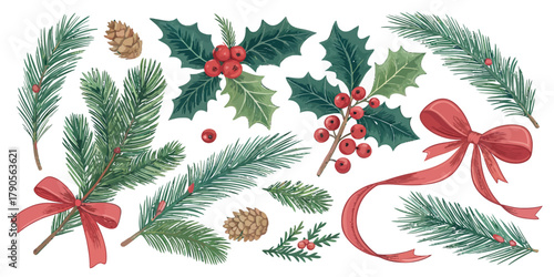 Vector illustration of christmas  christmas foliage with holly berries pine branches and red ribbons