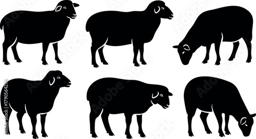 Black silhouette sheep vector set showing different poses and standing positions natural farm animals collection