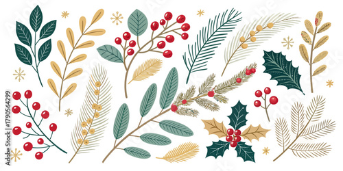 Vector illustration of christmas  assorted winter foliage with berries and snowflakes on white backdrop