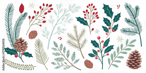 Vector illustration of christmas  assorted christmas foliage with pinecones and red berries on white