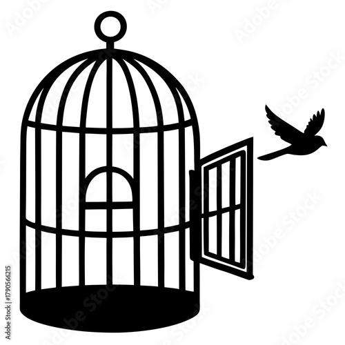 Bird going out  of a cage