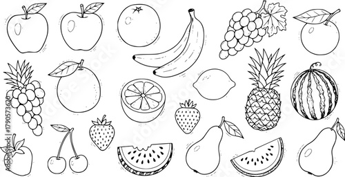 Hand drawn fruit doodles collection featuring various popular fruits